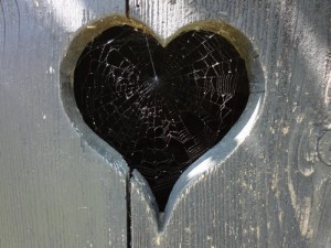 Herz in Holz mit Spinnennetz
